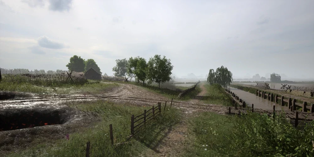 Purple Heart Lane Night